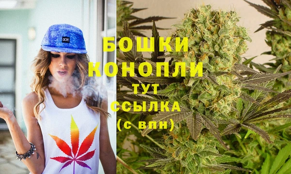 гидра Богданович